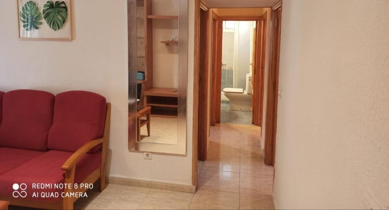 Carniceria Alfath Alicante Exteriör bild